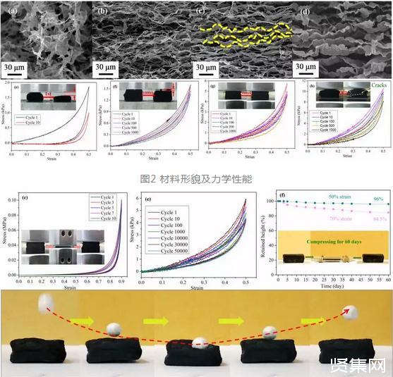 纖維素納米晶體制備了一種新型全生物質(zhì)彈性碳材料