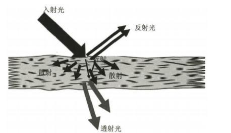 納米纖維素：透明紙基材料定義、分類、制備方法及應(yīng)用