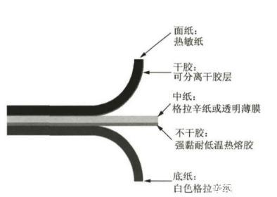 納米纖維素：透明紙基材料定義、分類、制備方法及應(yīng)用