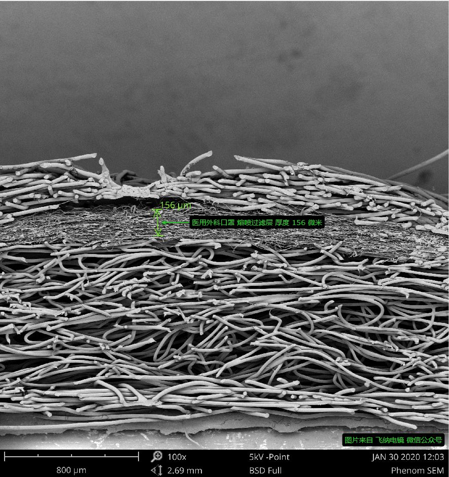 醫(yī)用外科口罩截面圖，飛納臺(tái)式掃描電鏡拍攝