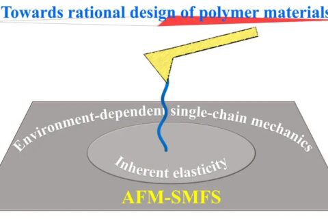 崔樹勛教授利用單分子力譜研究高分子單鏈彈性的環(huán)境響應(yīng)