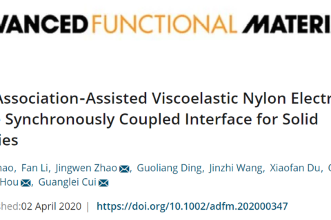 尼龍基高粘彈性聚合物固態(tài)電解質(zhì)！