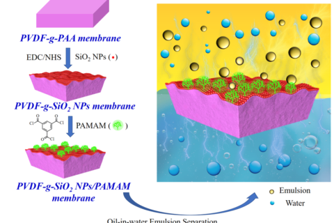 浙江大學黃小軍團隊在PVDF油水分離膜、梯度膜生物檢測傳感領(lǐng)域取得系列進展