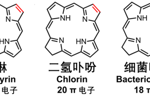 納米MOF穩(wěn)定細(xì)菌卟啉用于I型和II型同步的光動(dòng)力療法