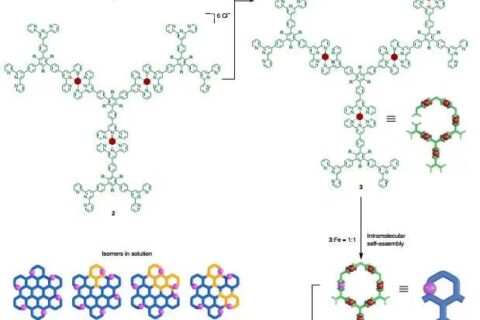 首次制備直徑為20 nm的六角形網(wǎng)格超分子