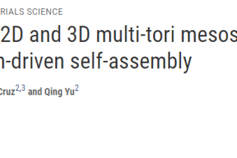 利用結(jié)晶驅(qū)動組裝技術制備2D和3D的多環(huán)結(jié)構(gòu)