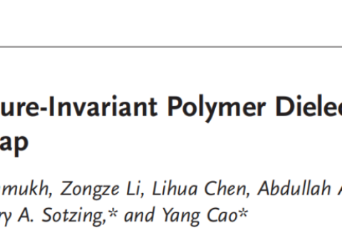 所見最佳柔性聚合物電介質(zhì)，適用于極端環(huán)境！