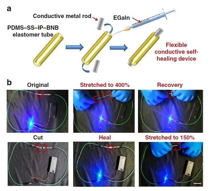 高度可拉伸自修復(fù)彈性體，可在各種極端條件下實(shí)現(xiàn)自修復(fù)