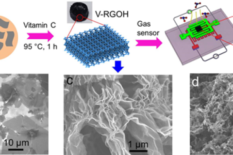 用于高性能氣體檢測的三維功能化石墨烯水凝膠，兼具三維和綠色合成！