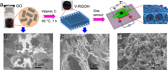 用于高性能氣體檢測(cè)的三維功能化石墨烯水凝膠，兼具三維和綠色合成！