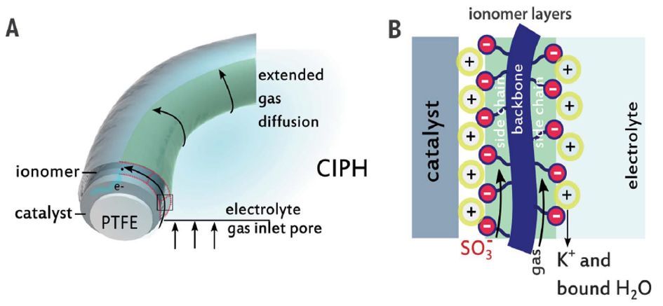 震撼！僅2個(gè)月，發(fā)表1篇Science，10余篇子刊/AM/JACS—加拿大兩院院士Sargent教授成果集錦