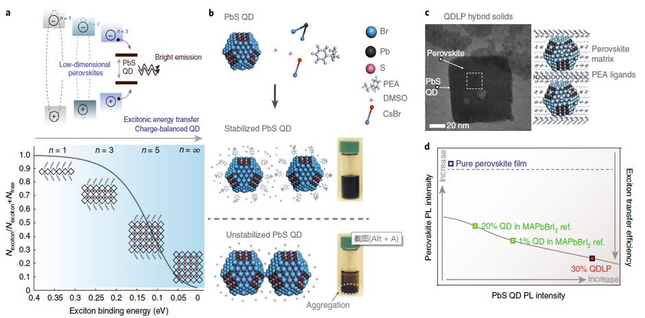 震撼！僅2個(gè)月，發(fā)表1篇Science，10余篇子刊/AM/JACS—加拿大兩院院士Sargent教授成果集錦