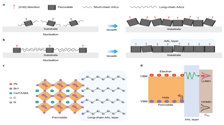 震撼！僅2個(gè)月，發(fā)表1篇Science，10余篇子刊/AM/JACS—加拿大兩院院士Sargent教授成果集錦