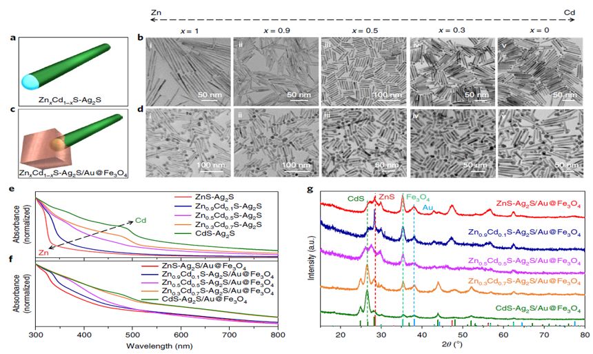 震撼！僅2個(gè)月，發(fā)表1篇Science，10余篇子刊/AM/JACS—加拿大兩院院士Sargent教授成果集錦