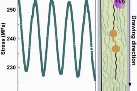 ?Matter最新研究：就這么簡(jiǎn)單，柔性聚合物拉一拉就變剛性致動(dòng)器