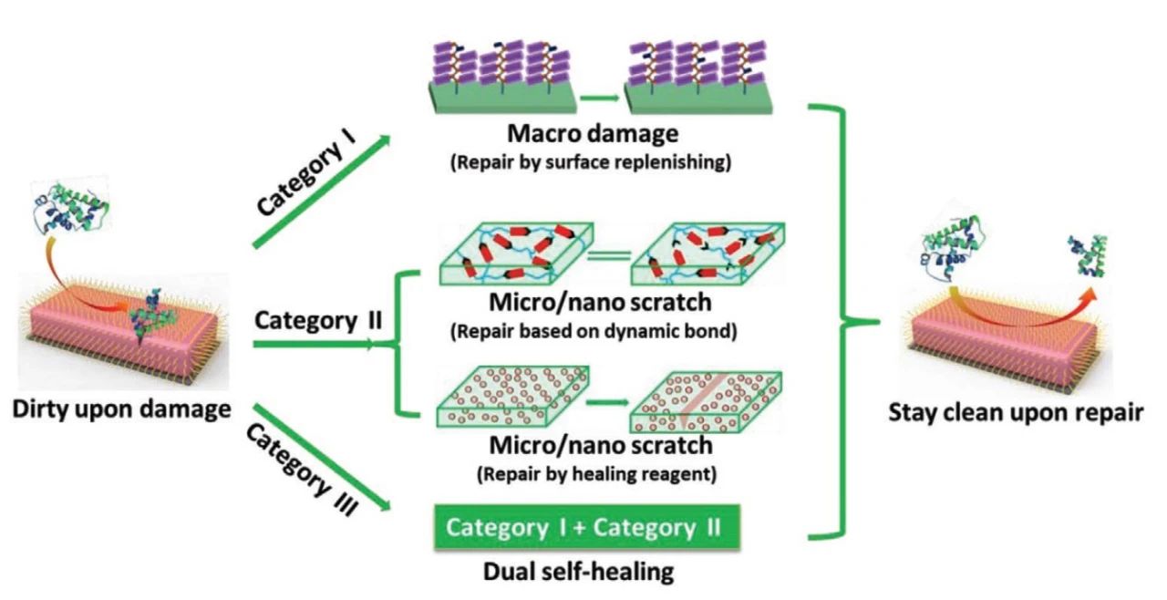 自修復(fù)防污材料的最新研究進(jìn)展