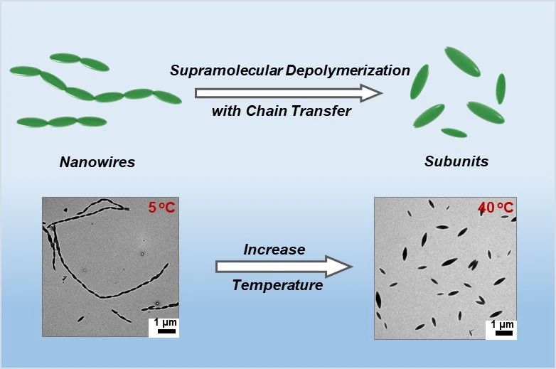 華東理工林嘉平教授團隊在多級納米線的超分子解聚取得新進展