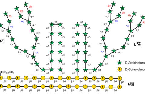 《Nature》譽為“糖之父”的Seeberger打破世界紀(jì)錄，史上最長人工合成多糖！
