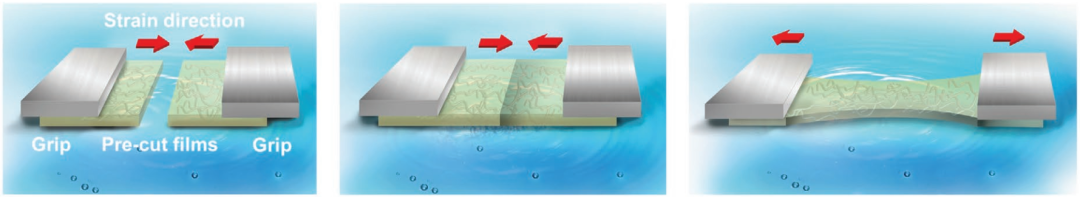 史上最柔！新型抗撕裂、自愈合柔性半導(dǎo)體！