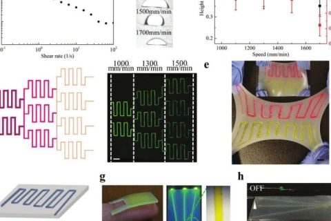 ?南方醫(yī)科大學魯峰團隊等《AFM》：相變蛋清水凝膠—朝著透明、無滯后的可穿戴電子產品發(fā)展