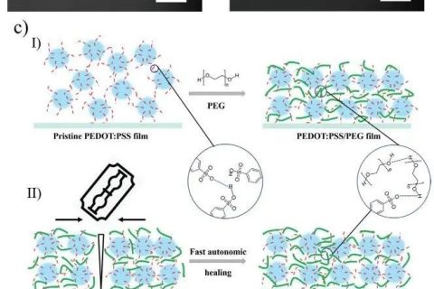 《AFM》：加點PEG，導(dǎo)電高分子實現(xiàn)自修復(fù)！