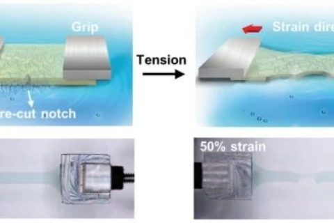 史上最柔！新型抗撕裂、自愈合柔性半導體！