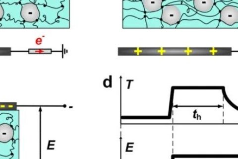 哈佛大學鎖志剛院士團隊：用這種方法，可伸縮駐極體儲存電荷60天
