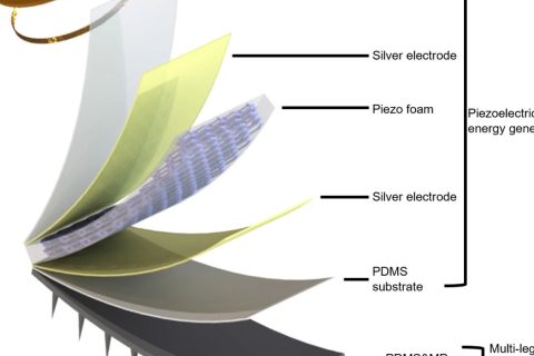 香港城大的無源遠程感知多足機器人，將開拓生物醫(yī)學檢測新應用