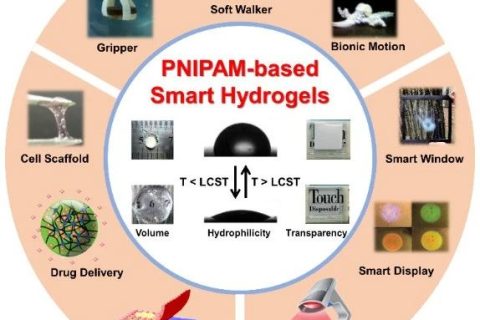 天津大學封偉教授團隊在PMS上全面綜述PNIPAM基智能水凝膠