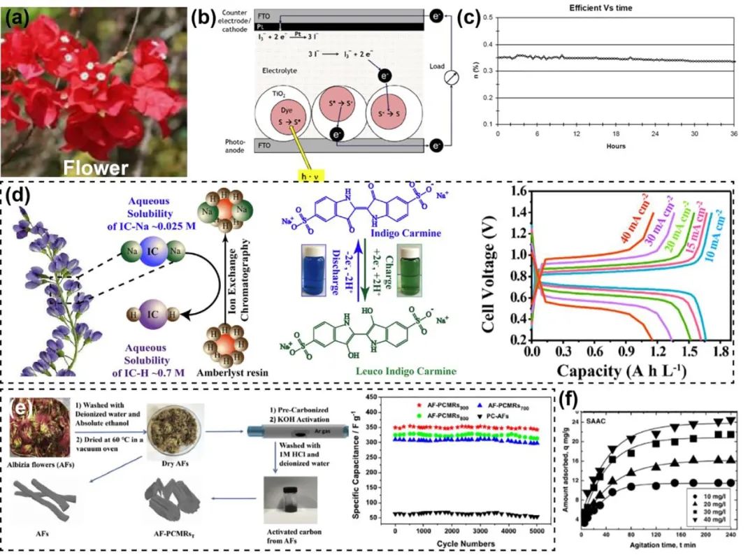 美國東北大學祝紅麗團隊 《AM》綜述：樹基生物聚合物作為可持續(xù)多功能材料的研究進展