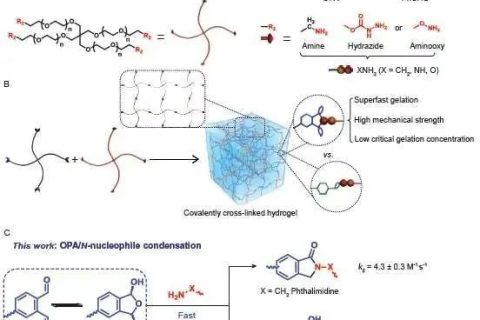 陳學(xué)思院士團(tuán)隊(duì)：固含低至1%！超快制備高強(qiáng)度可降解水凝膠