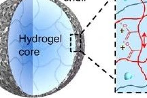 佐治亞理工謝興團隊：高分子復合材料實現(xiàn)自驅(qū)動膜分離過程