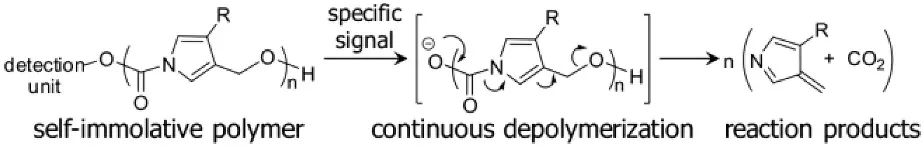 《JACS》： 像解拉鏈一樣輕松，聚合物30分鐘解聚為小分子