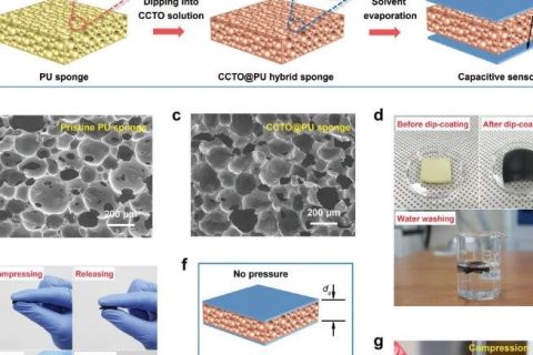 挑戰(zhàn)靈敏度極限！《AFM》：用于超高靈敏度壓力和應(yīng)變電容傳感器的泡沫復(fù)合介電材料