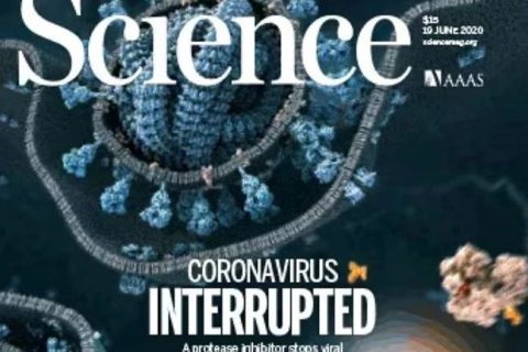 了不起！90后副教授在《science》上發(fā)表評述論文