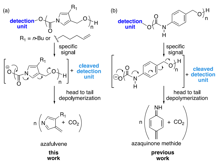 《JACS》： 像解拉鏈一樣輕松，聚合物30分鐘解聚為小分子