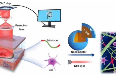 四川大學《Science》子刊：直接在體內(nèi)進行無創(chuàng)3D打?。? decoding=