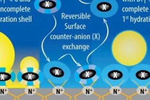 吉林大學汪大洋教授《德國應化》：陰離子水合作用新發(fā)現！可用于制備自清潔涂層