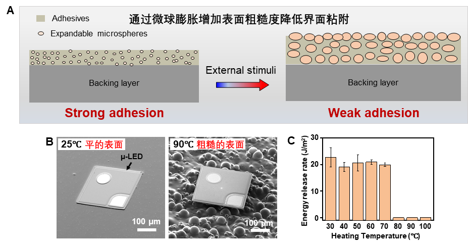 ?浙大學(xué)者研發(fā)超薄功能器件大面積、可編程轉(zhuǎn)印技術(shù)