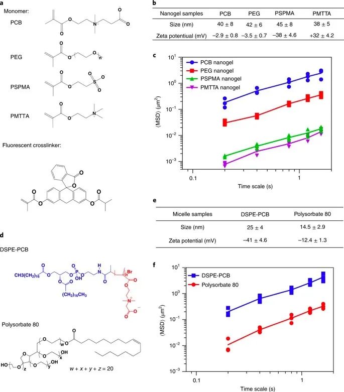 美國韋恩州立大學曹智強《Nat.Nanotech.》:高效口服胰島素問世，兩性膠束遞送胰島素無需打開緊密連接