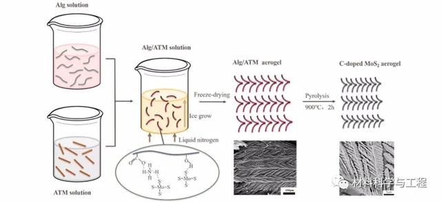 圖2. C摻雜的MoS2氣凝膠的香蕉葉狀形態(tài)形成過(guò)程的示意圖