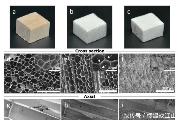 高度多孔、強韌的各向異性纖維素氣凝膠-1