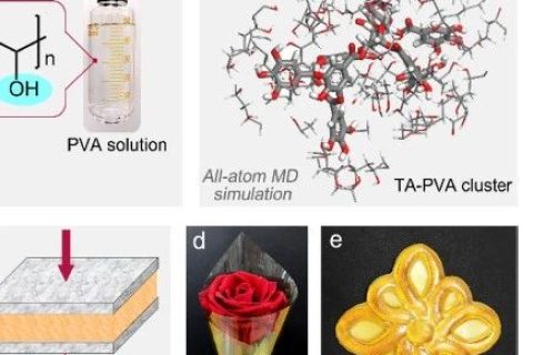 超越天然蛛絲！超高強(qiáng)度、極高韌性的超分子聚合物材料