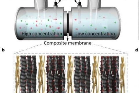 中科院理化所聞利平《ACS Nano》：仿生蠶絲交聯(lián)復(fù)合膜實(shí)現(xiàn)高效滲透能收集