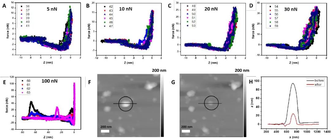 匹茲堡大學(xué)劉海濤/哈佛大學(xué)尹鵬《ACS Nano》：低密度，高強度的3D獨立DNA納米結(jié)構(gòu)雜化材料