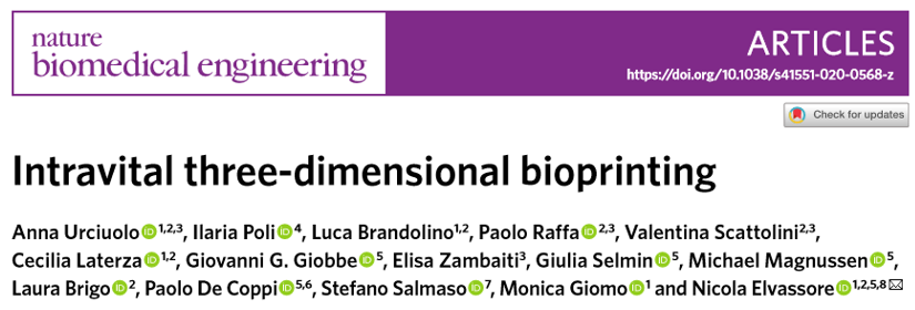 ?《Nat.Biomed.Eng.》:活體3D生物打印光敏聚合物水凝膠！有望代替常規(guī)生物打印