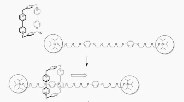 諾貝爾化學(xué)獎得主斯托達(dá)特：中國青年科學(xué)家太在乎發(fā)論文了