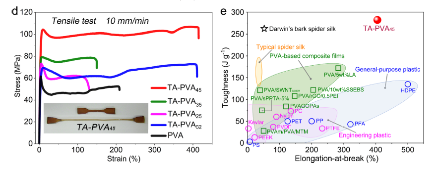 超越天然蛛絲！超高強(qiáng)度、極高韌性的超分子聚合物材料