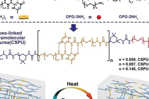 高韌性、可多次回收的超分子聚氨酯