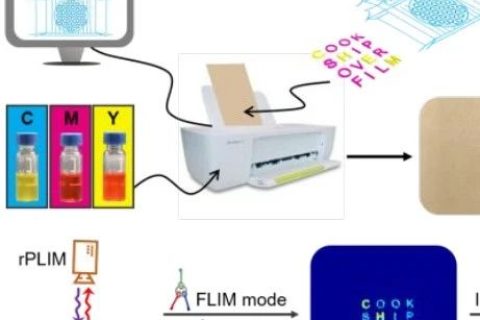 復旦大學王旭東《JACS》：三級加密！新一代發(fā)光防偽技術(shù)！